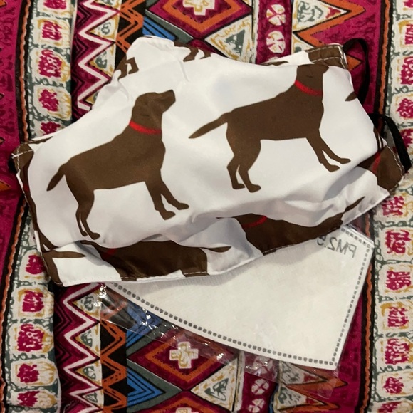 6/$20 New Chocolate lab face mask - Picture 1 of 3